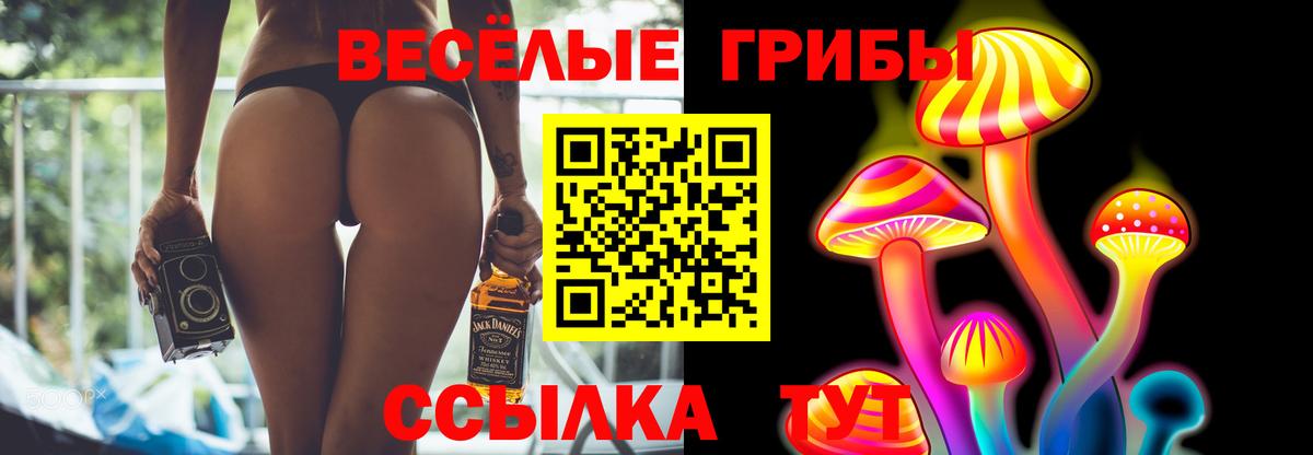 Галлюциногенные грибы прущие грибы Острогожск