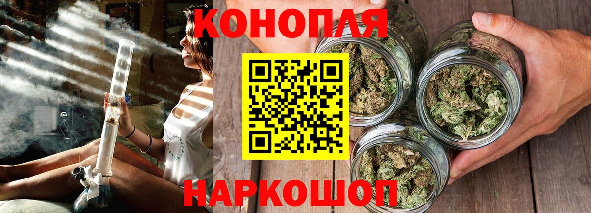 Шишки марихуана тримм  Шишки марихуана планчик  Вход с VPN  Бошки Шишки конопля  Острогожск 